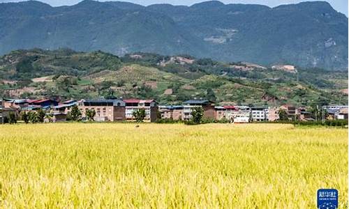 欧美日韩国产成人综合在线